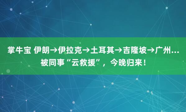 掌牛宝 伊朗→伊拉克→土耳其→吉隆坡→广州...被同事“云救援”，今晚归来！