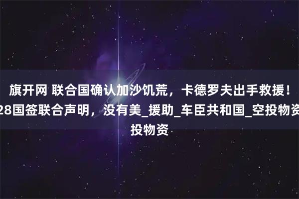 旗开网 联合国确认加沙饥荒,卡德罗夫出手救援!28国签联合声明,没有美_援助_车臣共和国_空投物资
