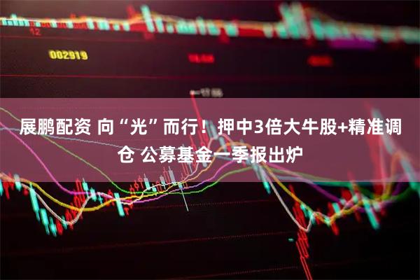 展鹏配资 向“光”而行！押中3倍大牛股+精准调仓 公募基金一季报出炉